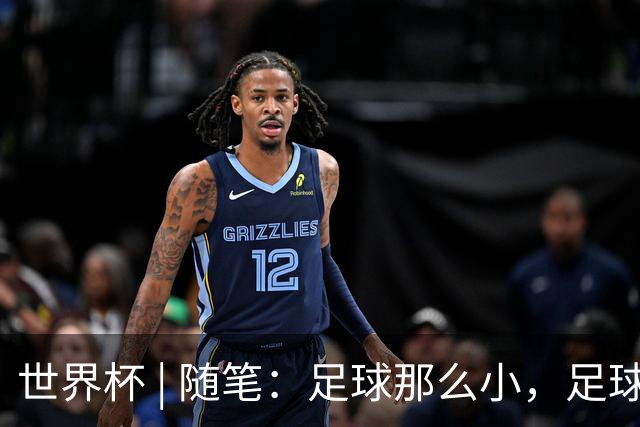 世界杯 | 随笔：足球那么小，足球这么大