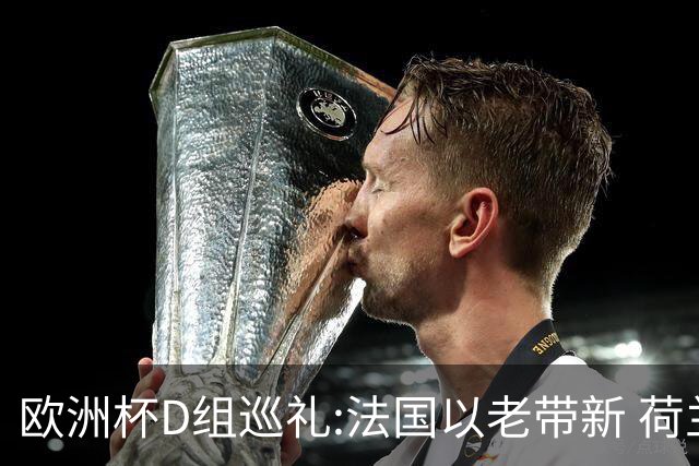 欧洲杯D组巡礼:法国以老带新 荷兰豪华后防