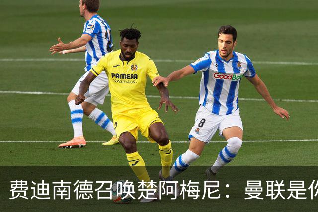 费迪南德召唤楚阿梅尼：曼联是你的唯一归宿，想成事的话就来吧！